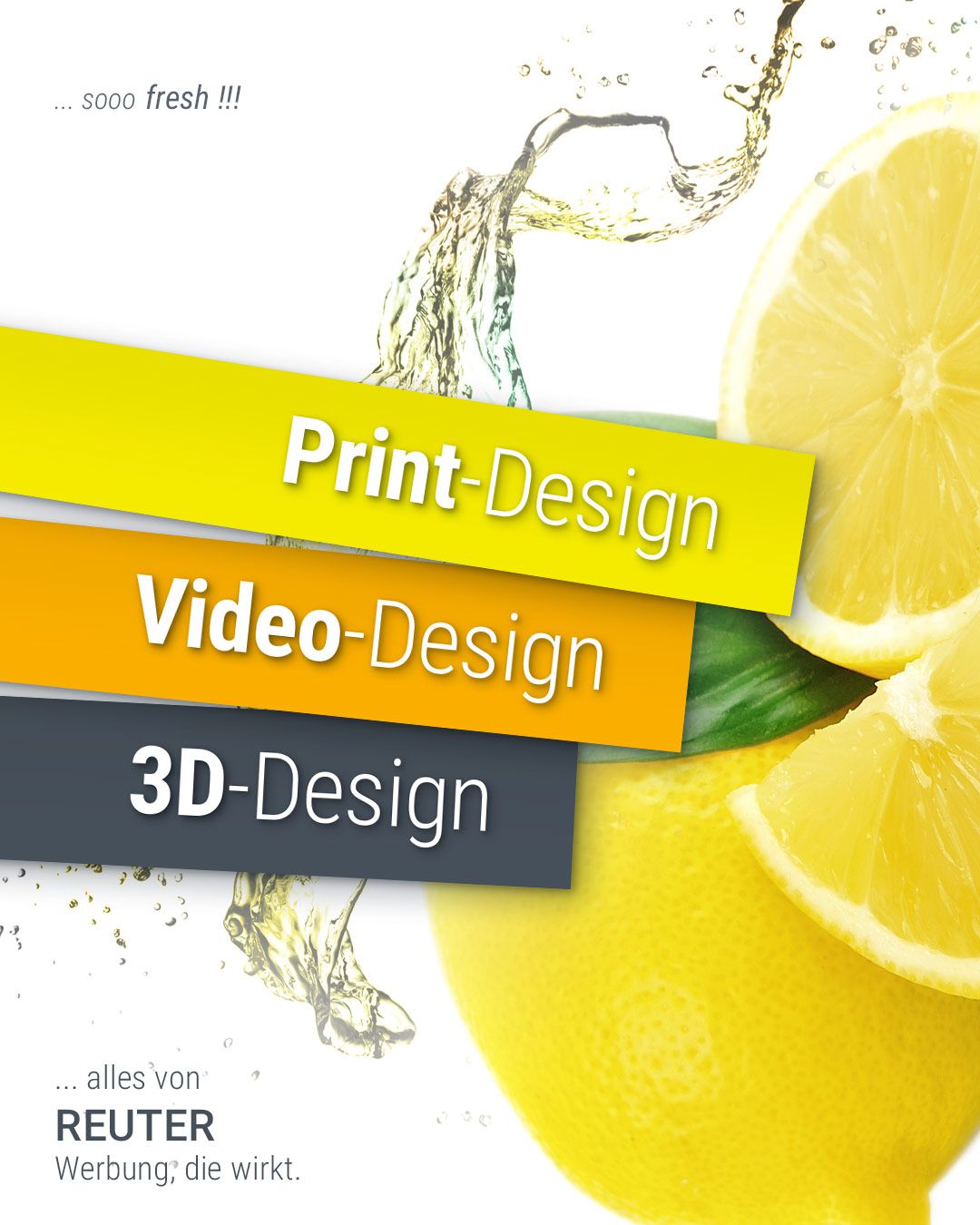 Foto: Leistungen Teil 2: Web-Design, Foto-Design & Logo-Design von REUTER - Werbung, die wirkt.